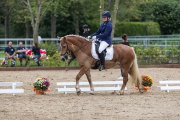 Bild 583 - Fuchshof Turnier